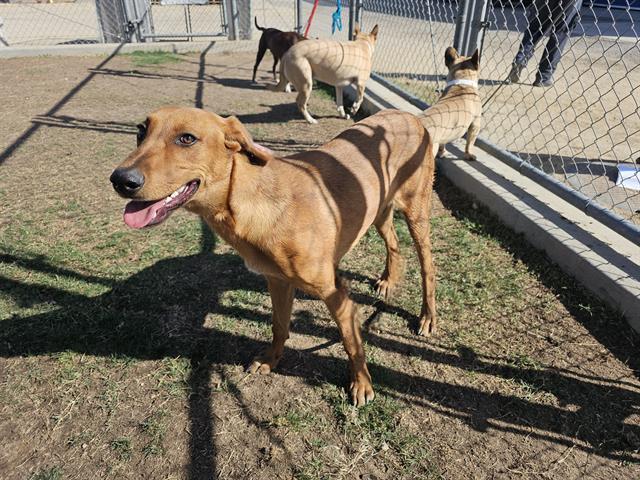 Pilar -- URGENT!!! OUT OF TIME!!!