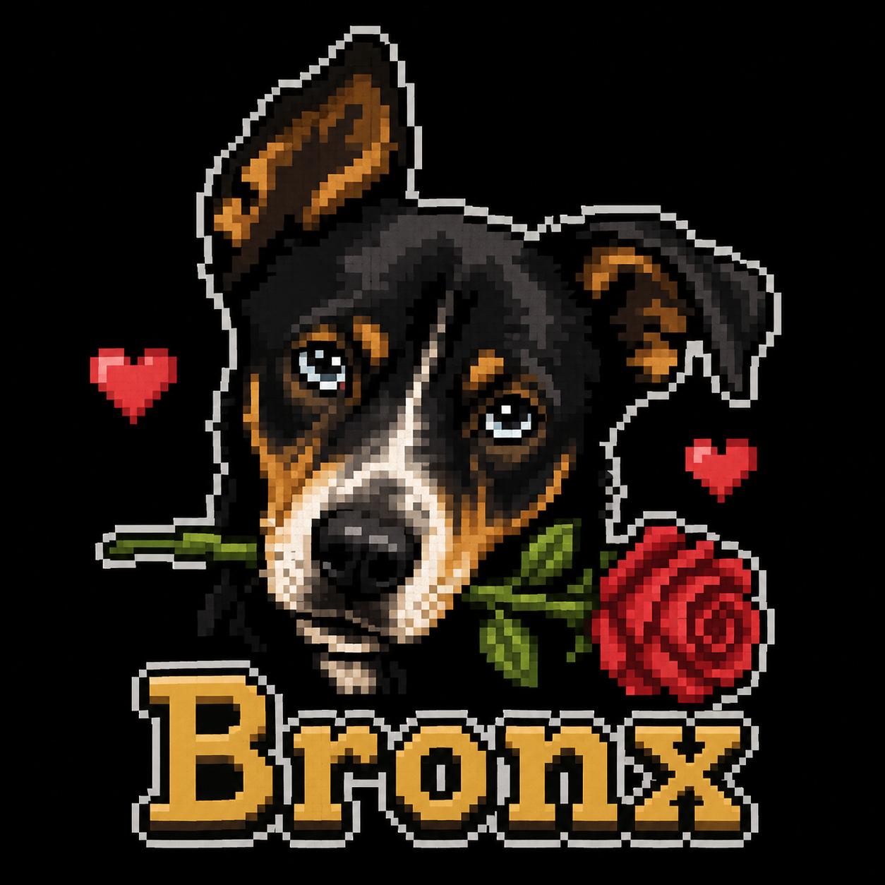 Enlarge [NEW] Bronx, a Adoptable mixed breed in Willoughby, OH image 1/5