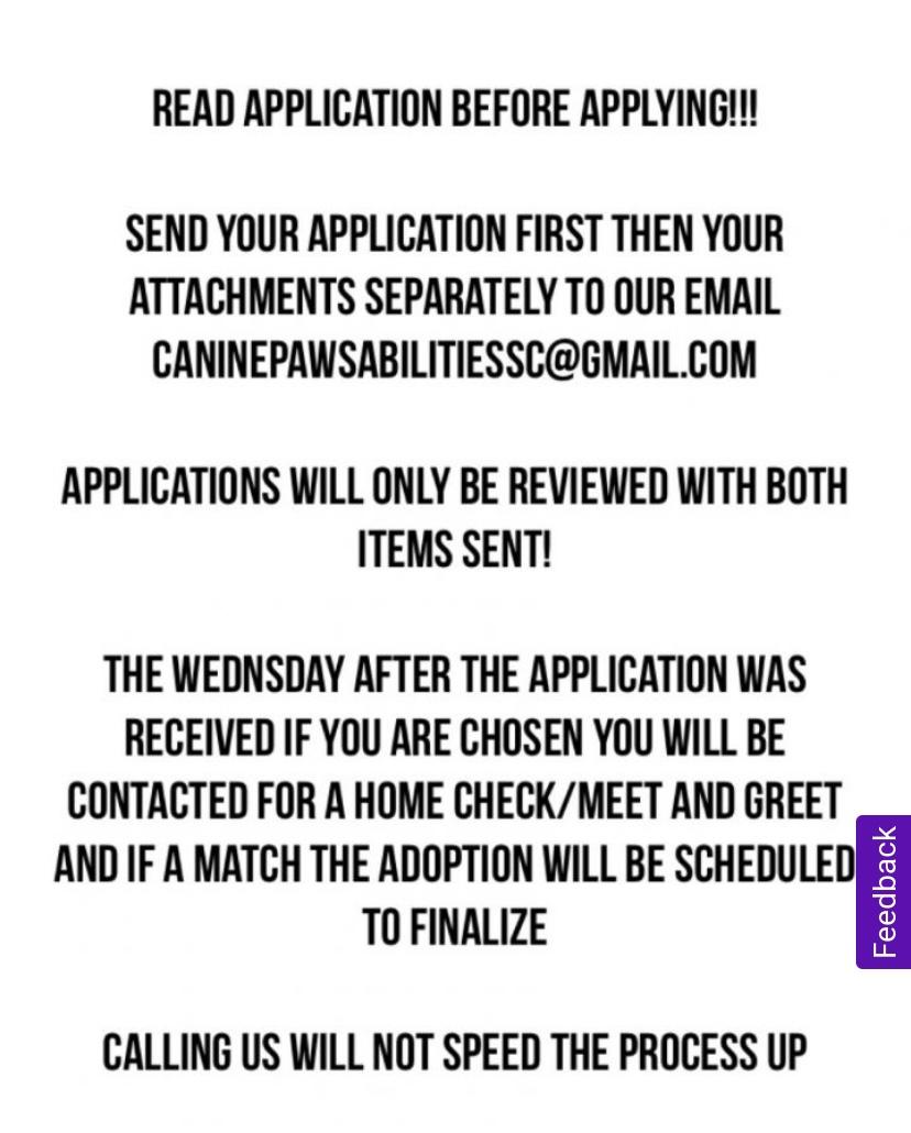 Enlarge Betty, a Adoptable mixed breed in warrenville, SC image 3/3