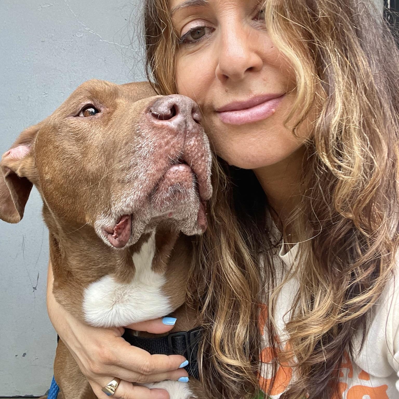 Point Break, a ADOPTABLE mixed breed in New York, NY image 4/6