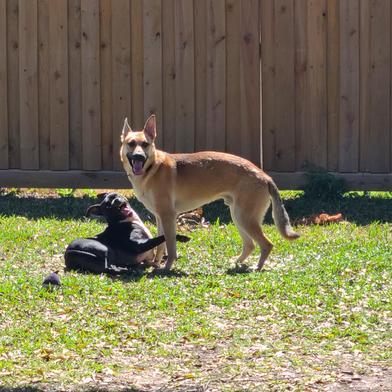 Hanson — thumbnail 3