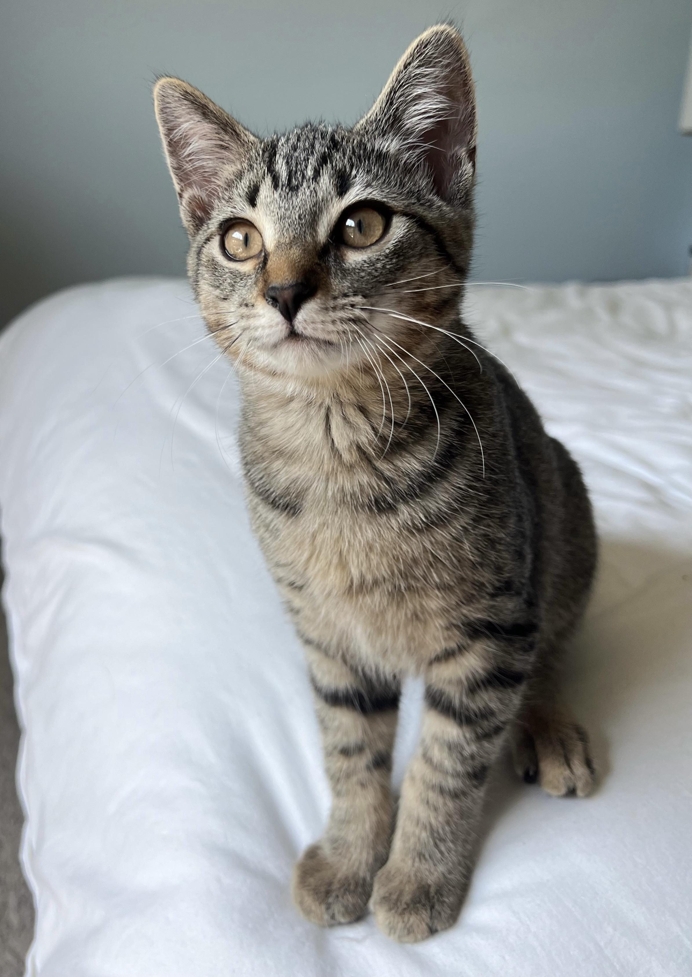 Jane — thumbnail 2