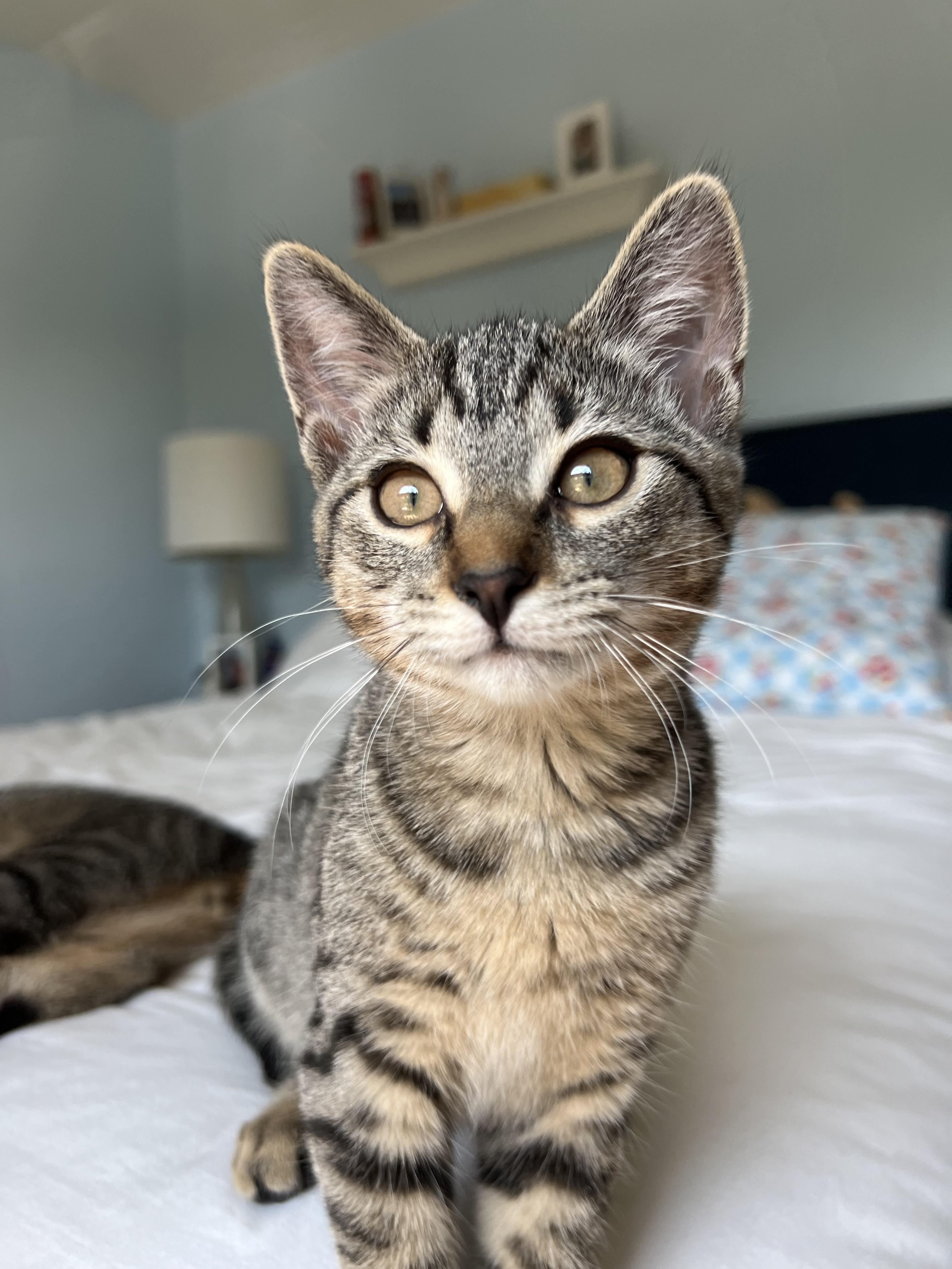 Jane — thumbnail 3