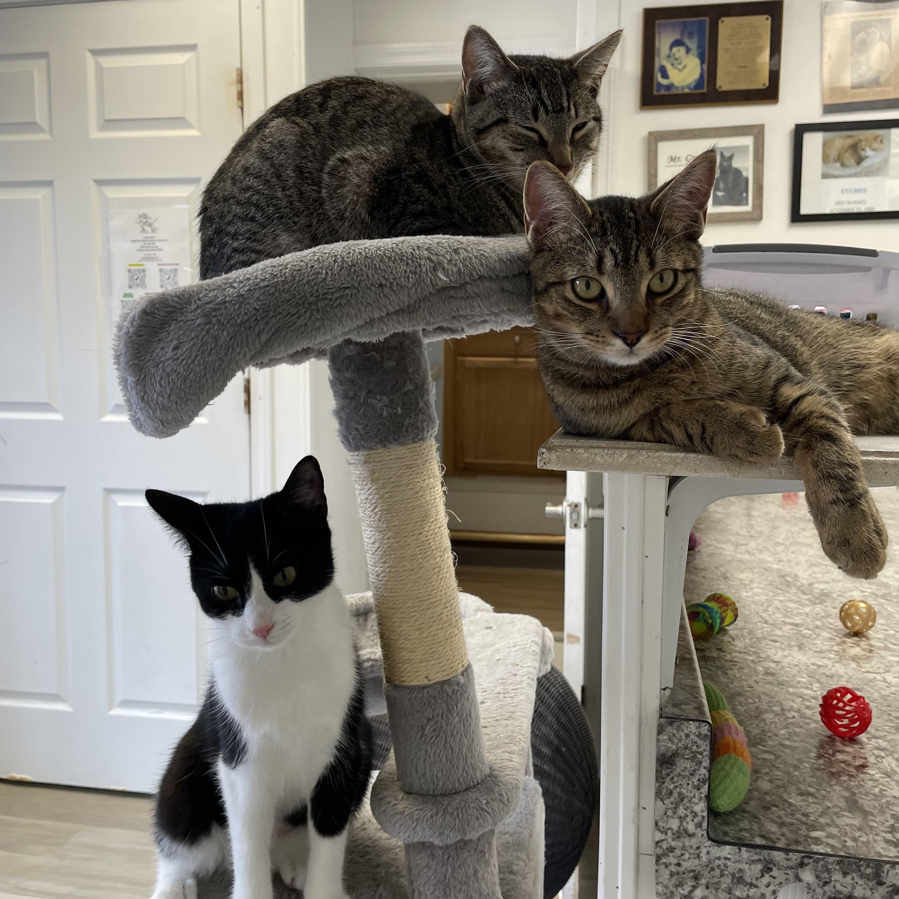 Jane — thumbnail 4