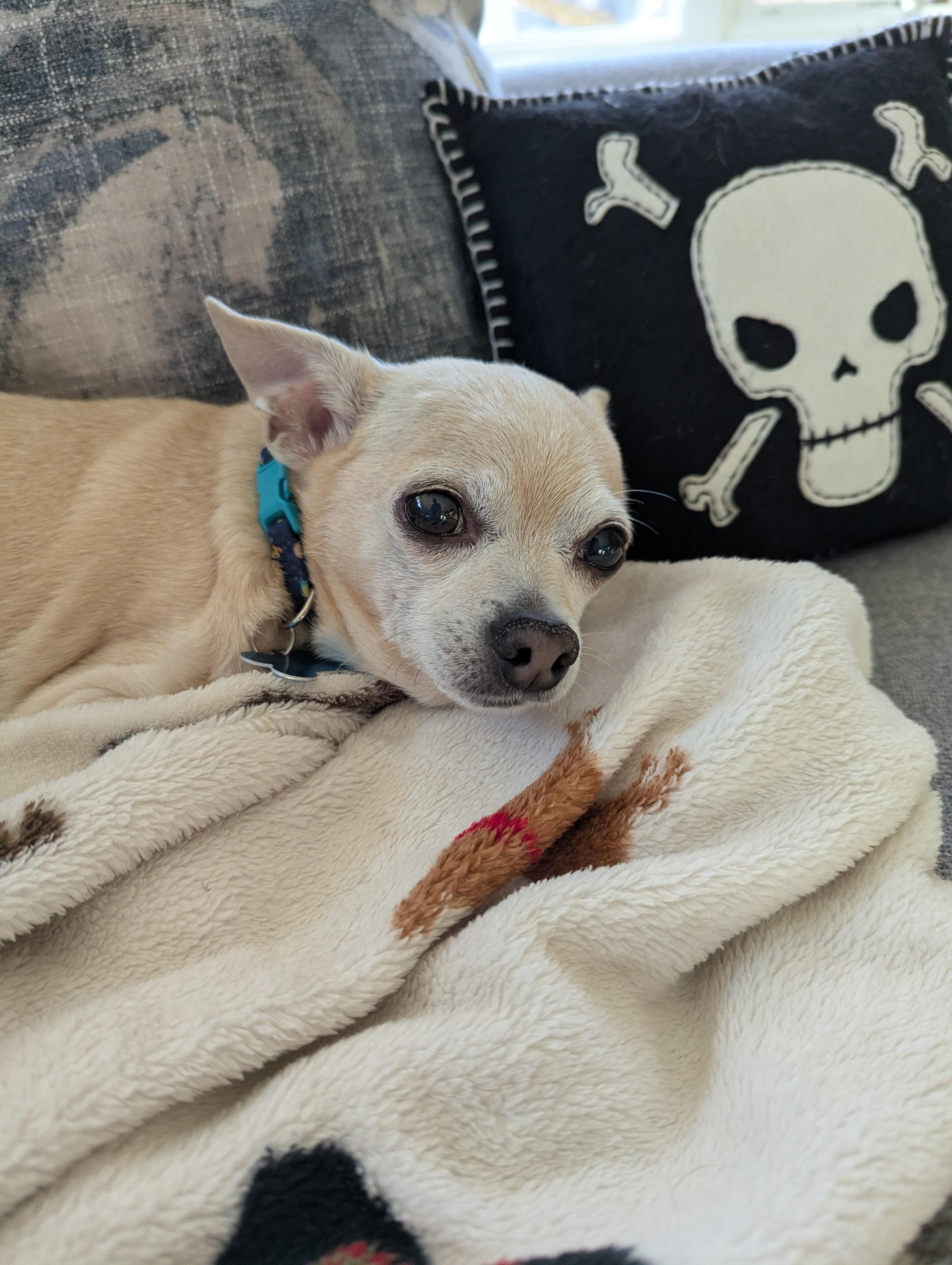 Phillip — thumbnail 5