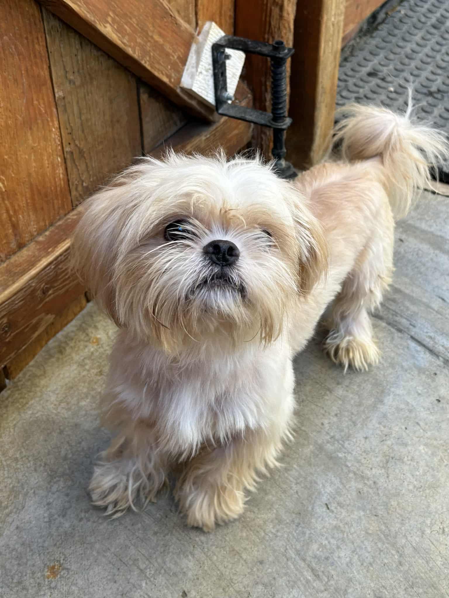 Milo