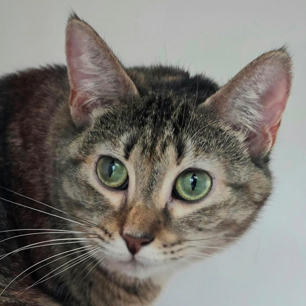 Ruby 2 — thumbnail 2