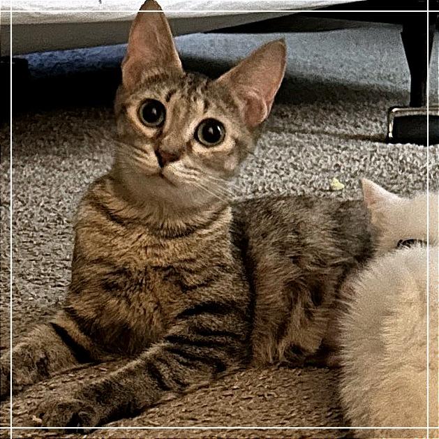 Ruby 2 — thumbnail 3