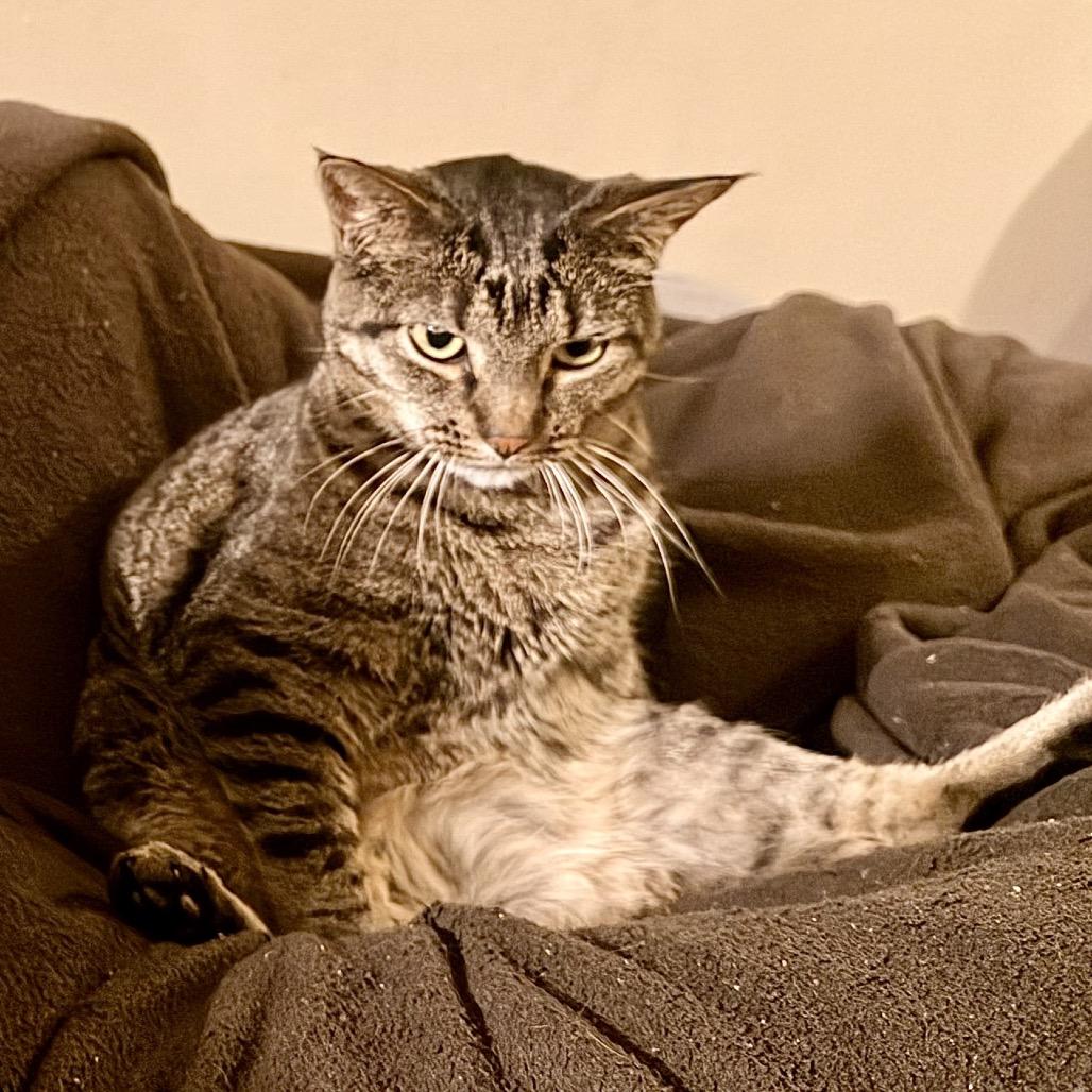 Tumbles — thumbnail 2