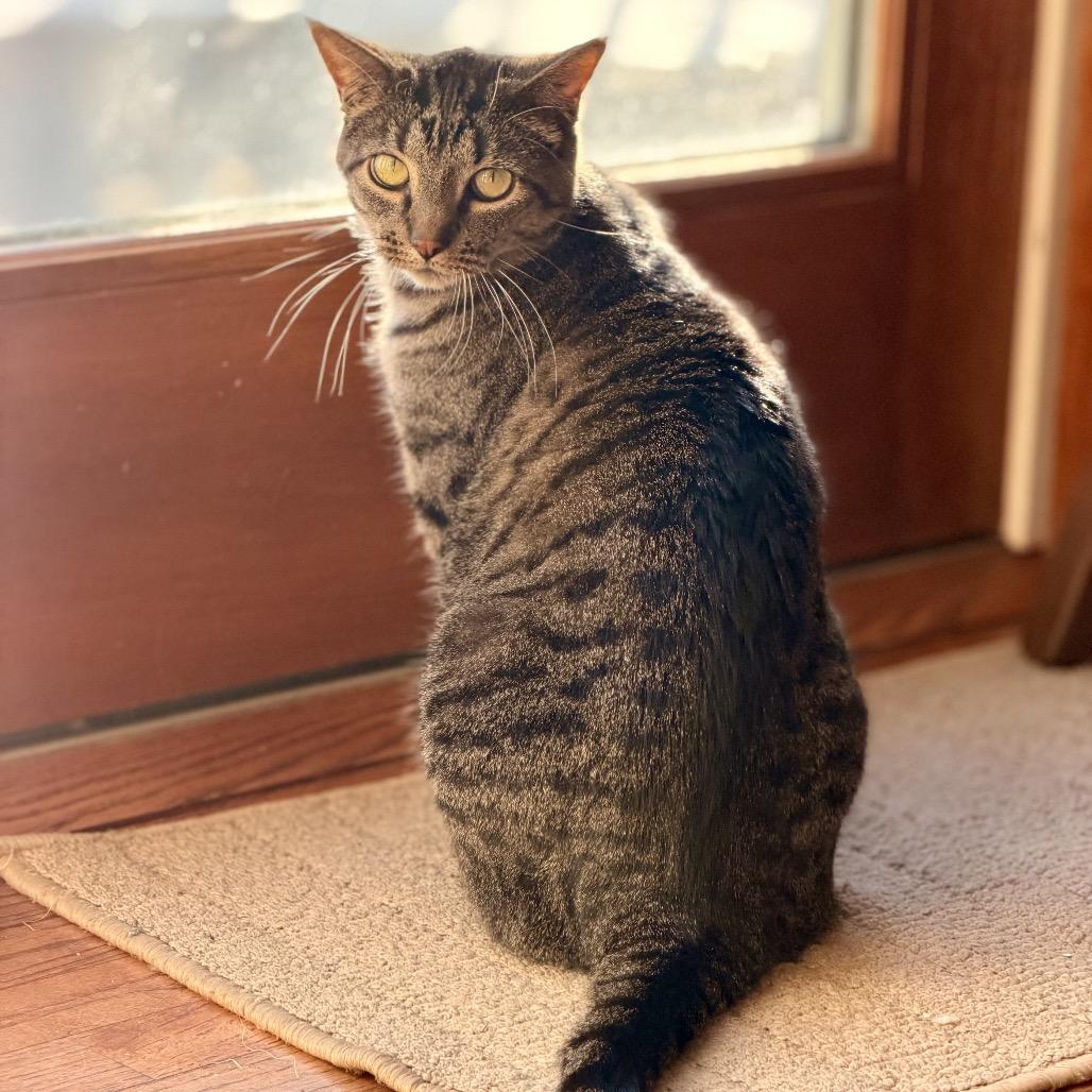 Tumbles — thumbnail 3