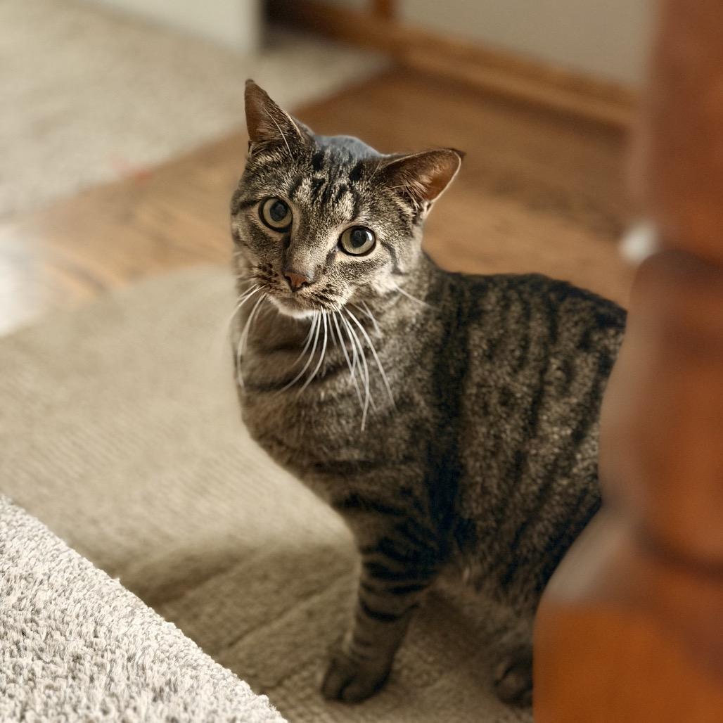 Tumbles — thumbnail 5