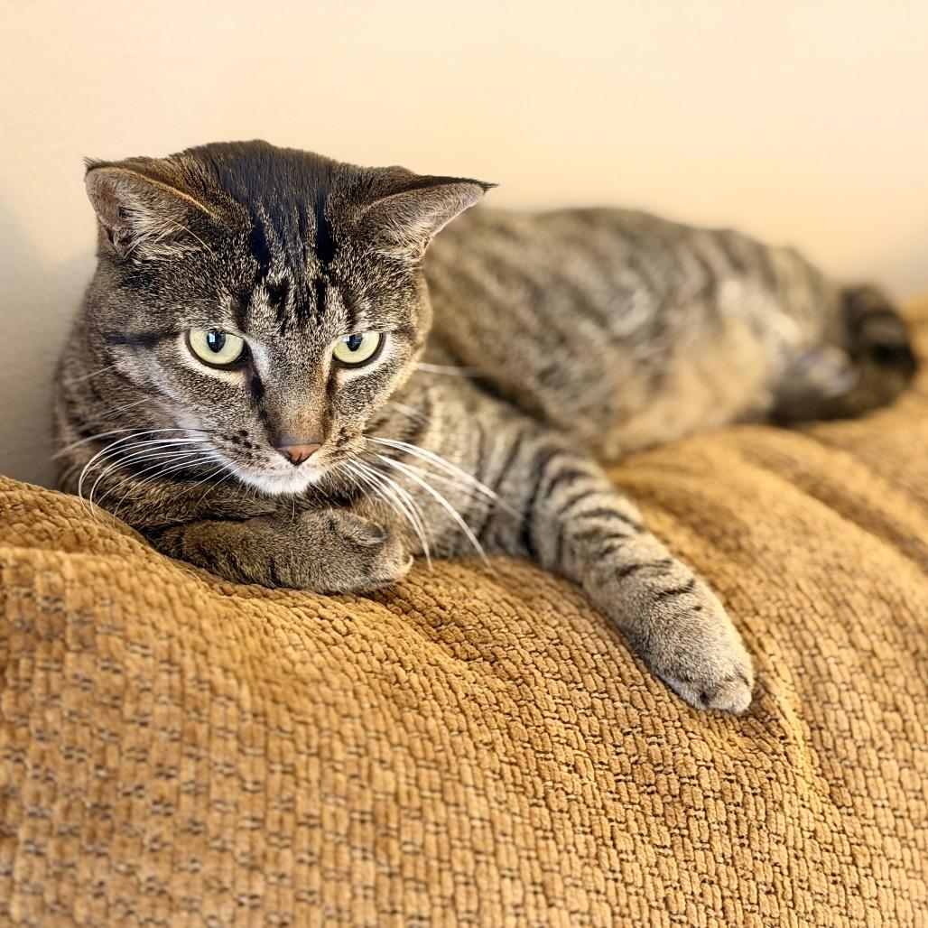 Tumbles — thumbnail 6