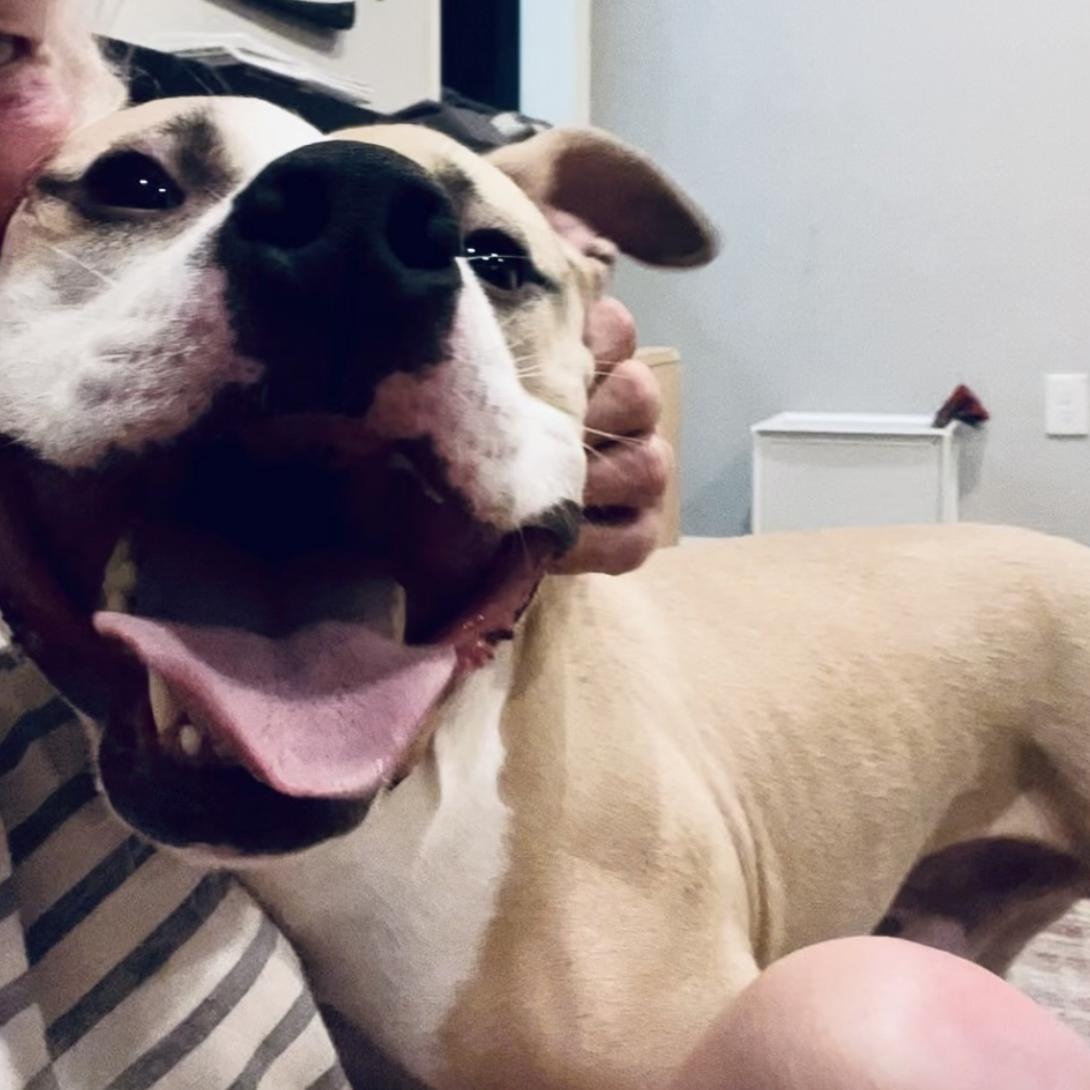 Philip — thumbnail 5