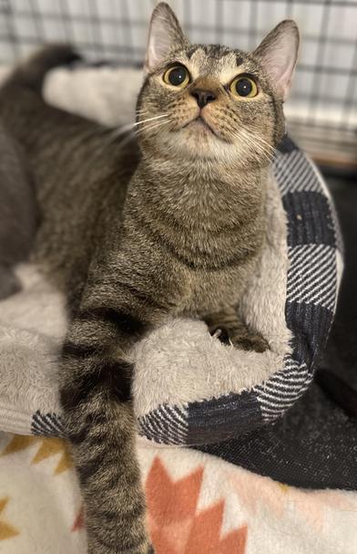 Lua