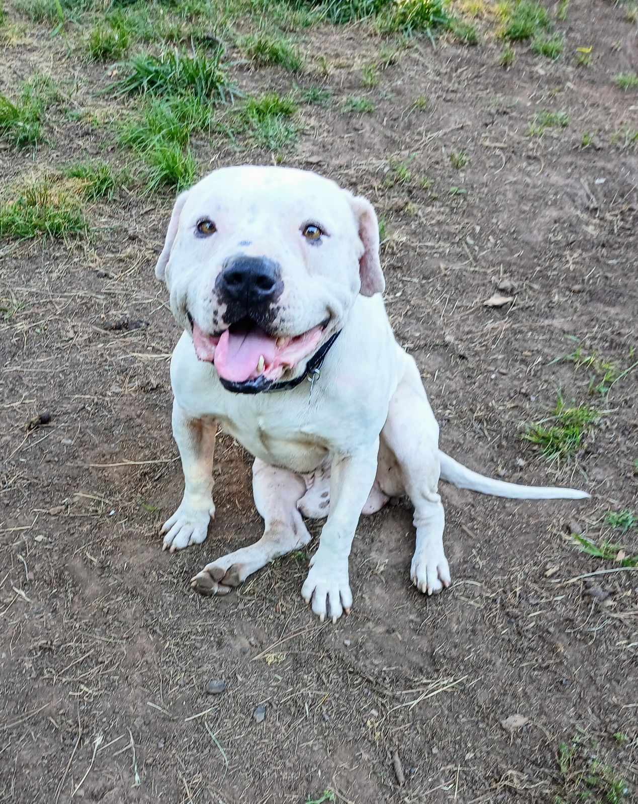 FALCOR — thumbnail 6