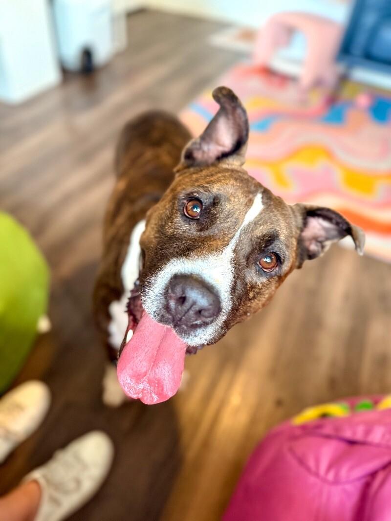 Lucky Bubby so Squishy so Cuddly — thumbnail 3