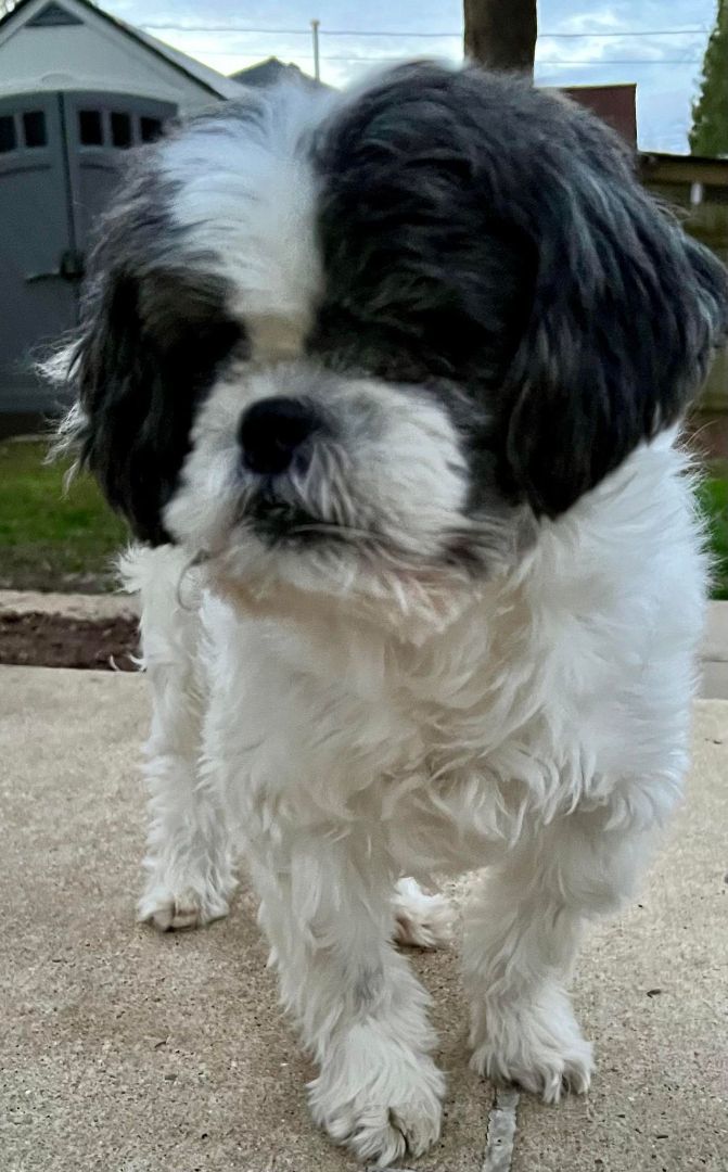 Danny: Blind, Hospice and needs SPONSORS!