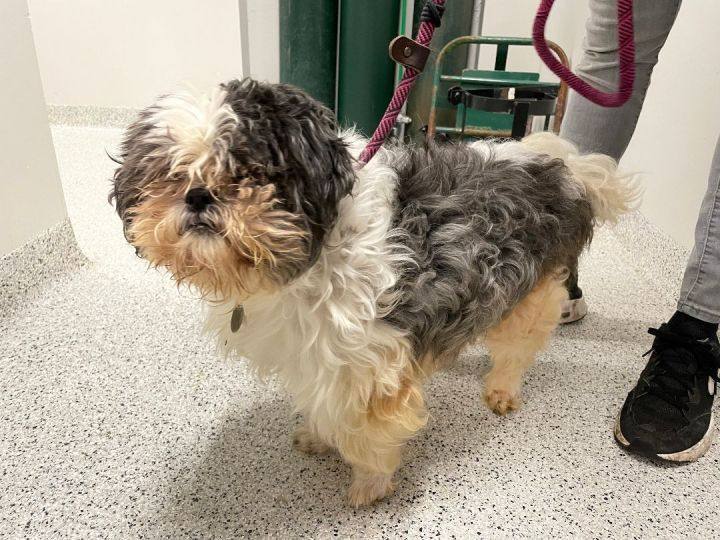 Danny: Blind, Hospice and needs SPONSORS!