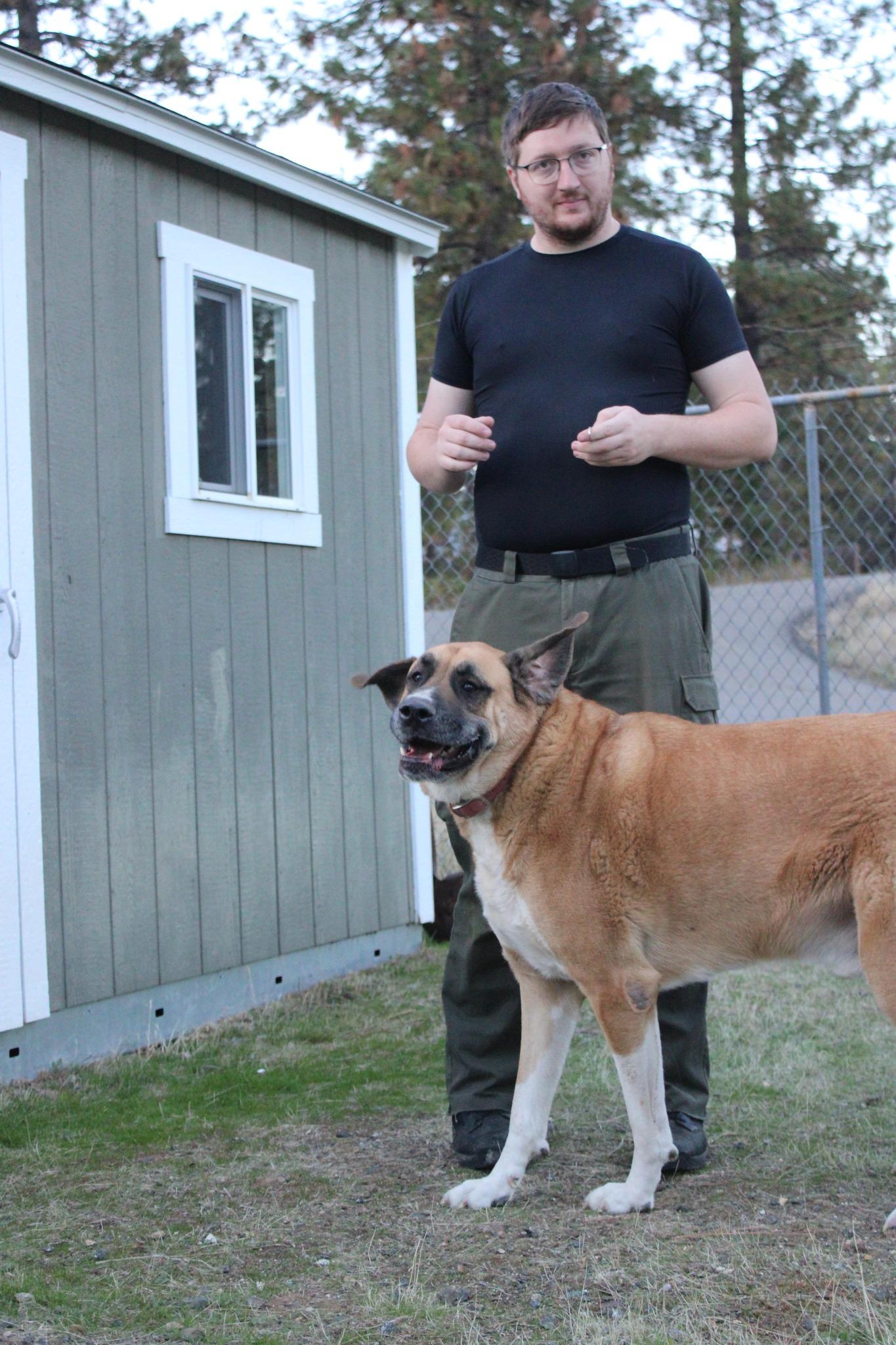 Max, a Adoptable mixed breed in Weaverville, CA image 4/4