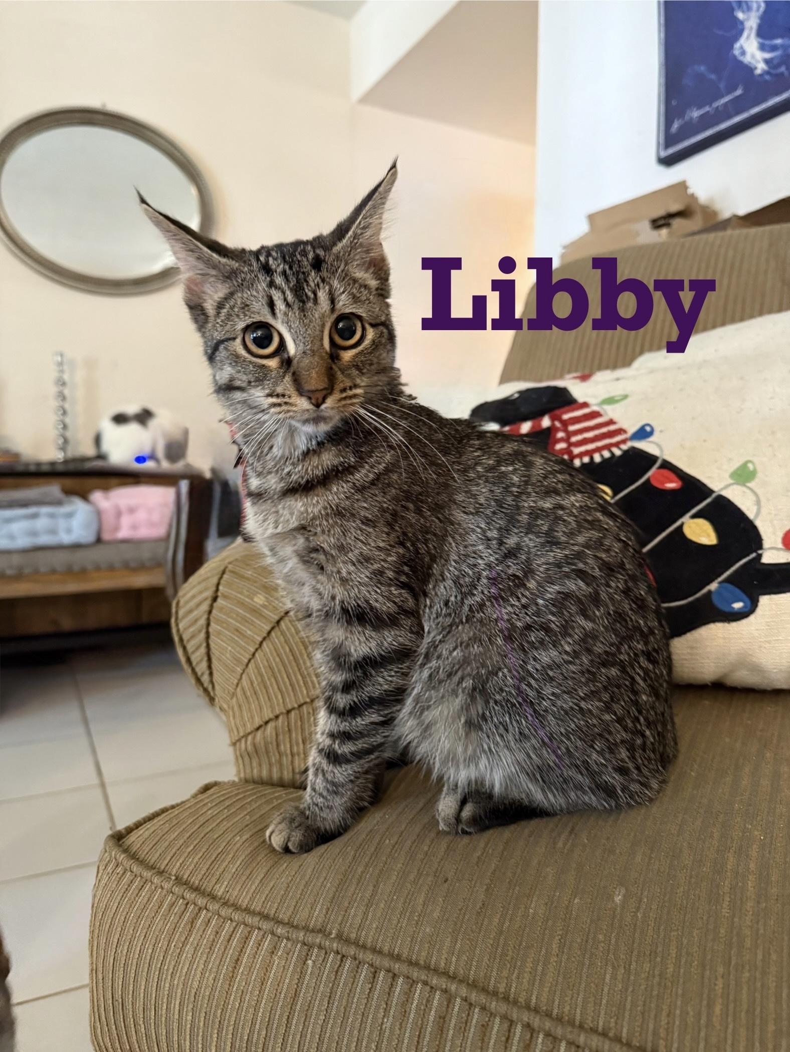 Libby