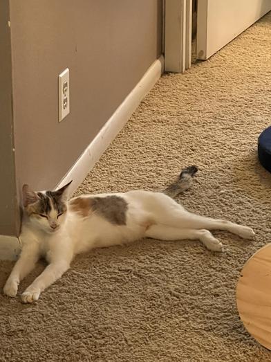 Sammie (Samantha) — thumbnail 5