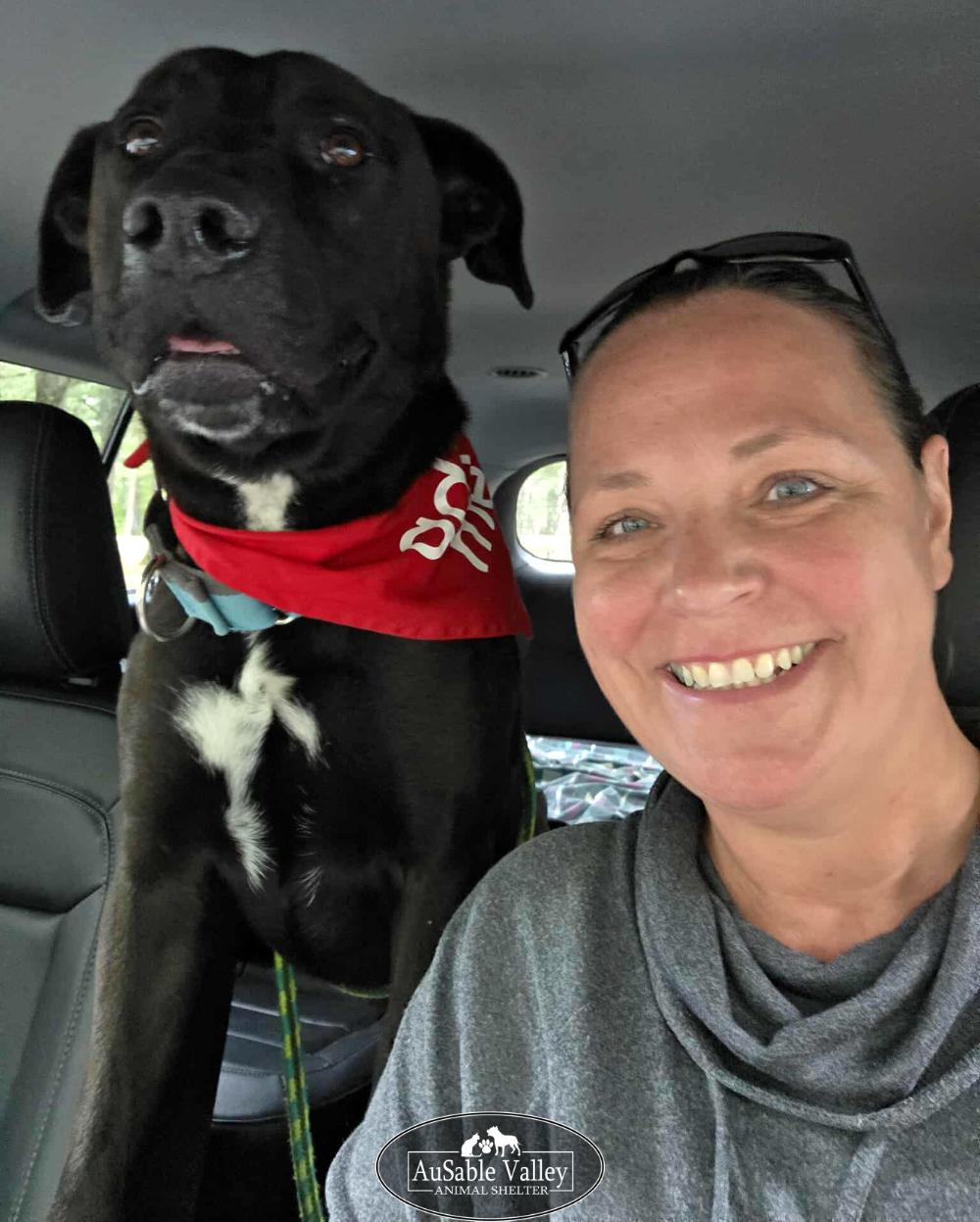 Opie, an adoptable Mixed Breed in Grayling, MI, 49738 | Photo Image 3