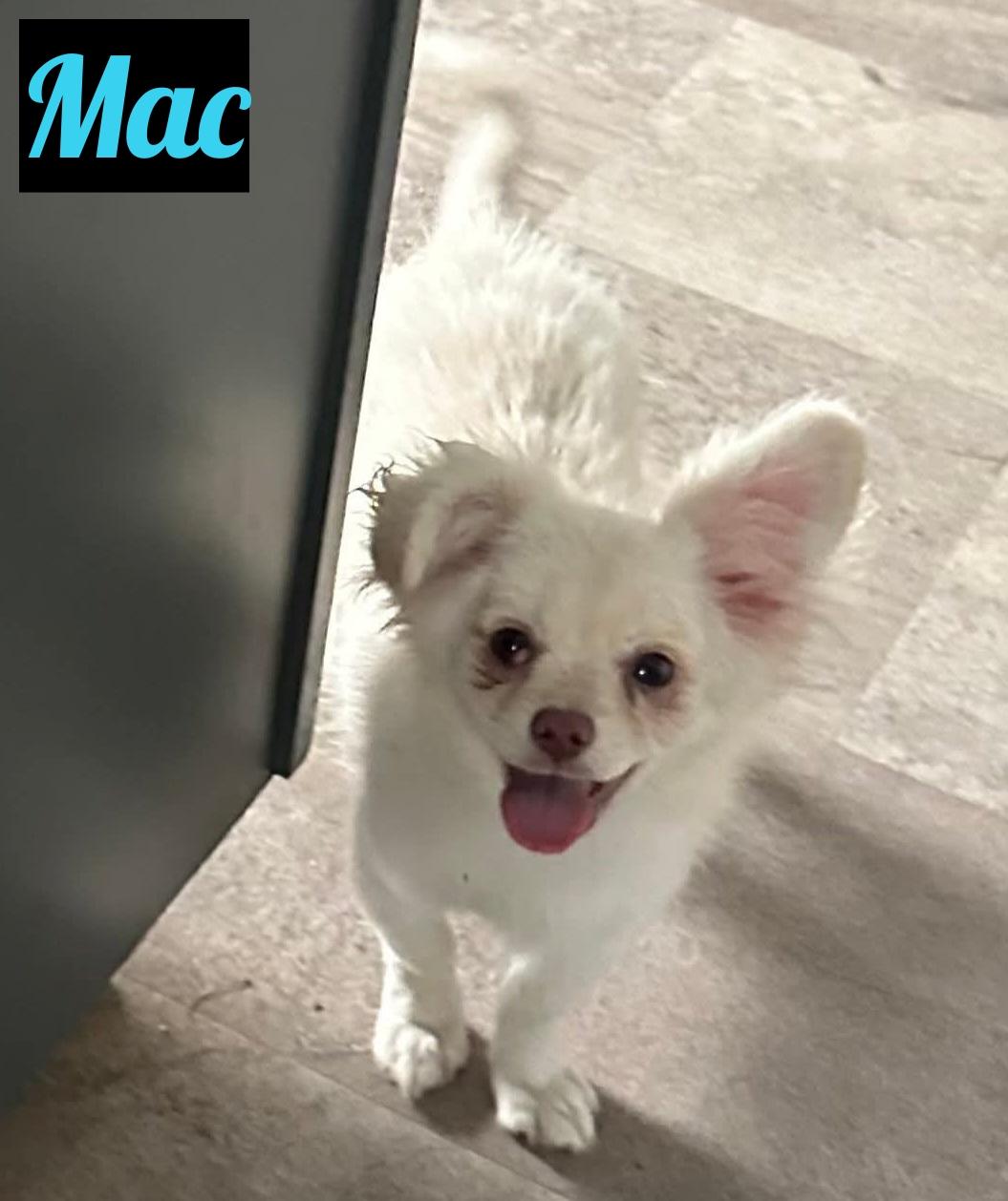 Mac
