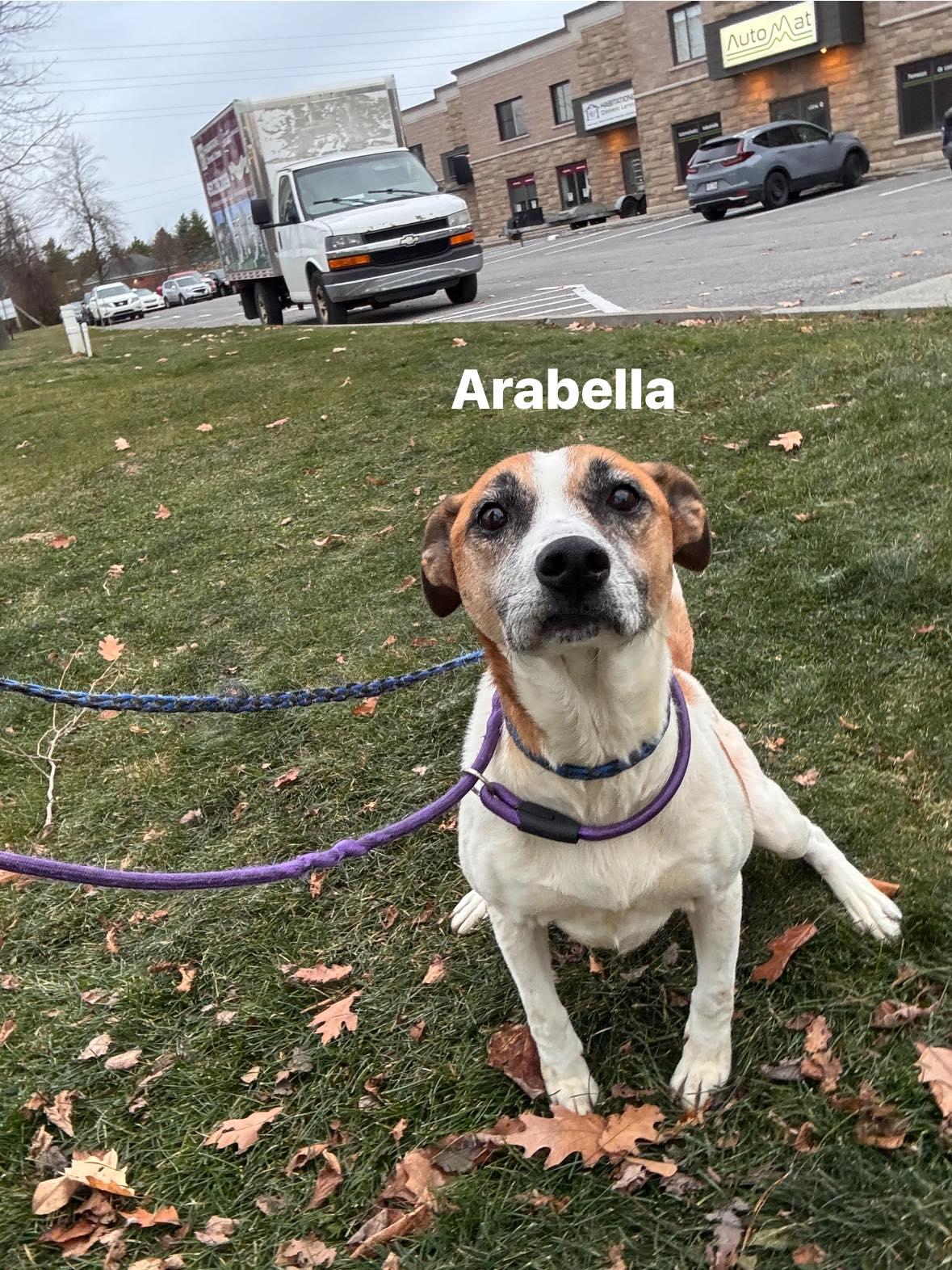 Arabella