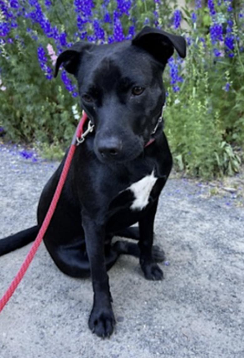 Riley — thumbnail 3