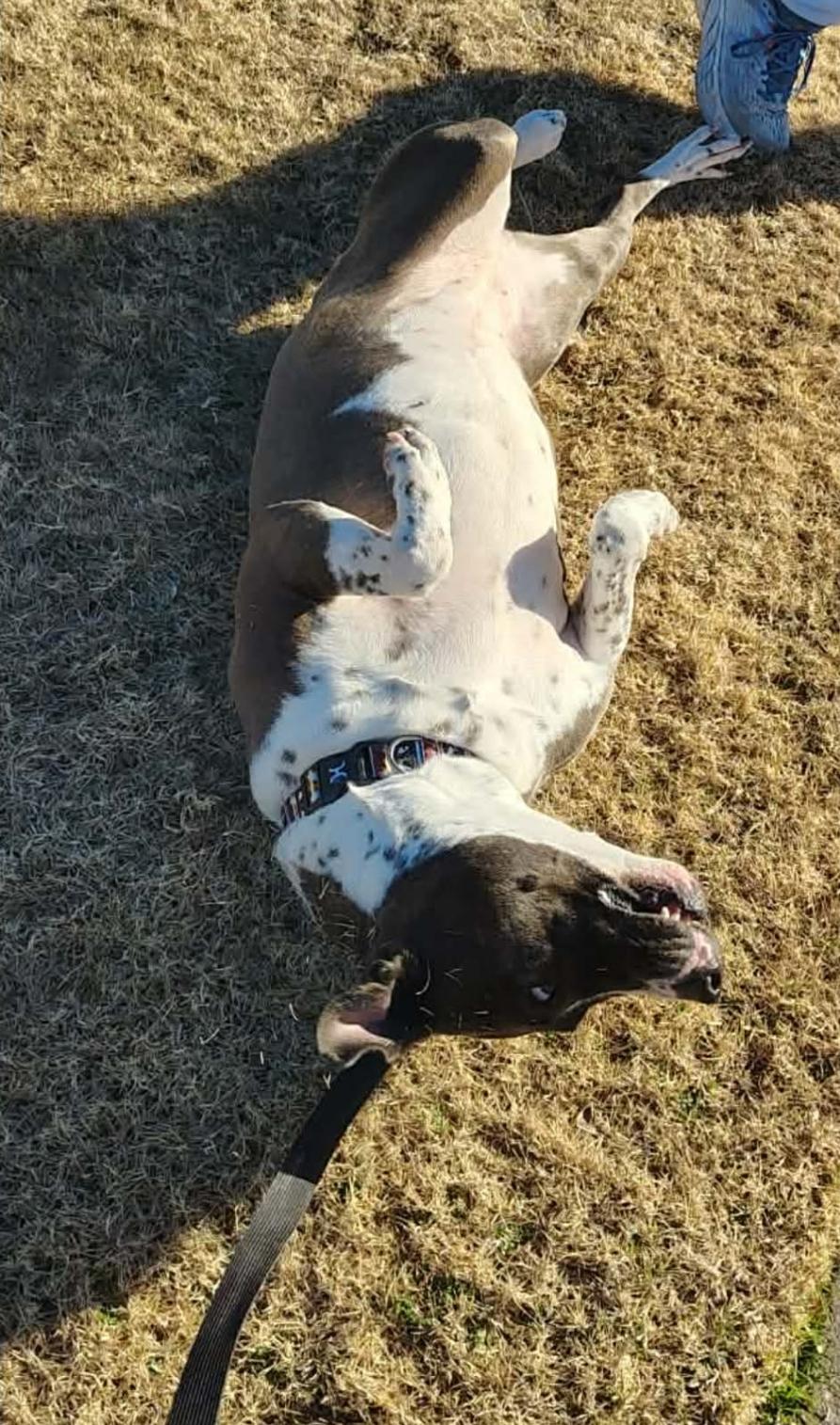 Stacee — thumbnail 3