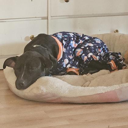 Zara — thumbnail 3