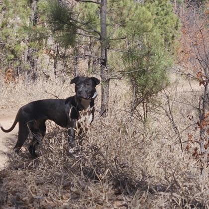 Zara — thumbnail 4