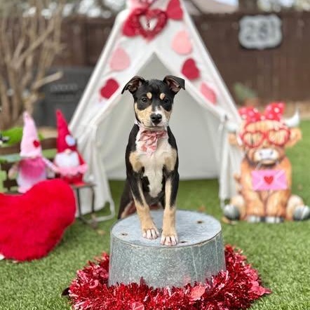 Everly — thumbnail 2