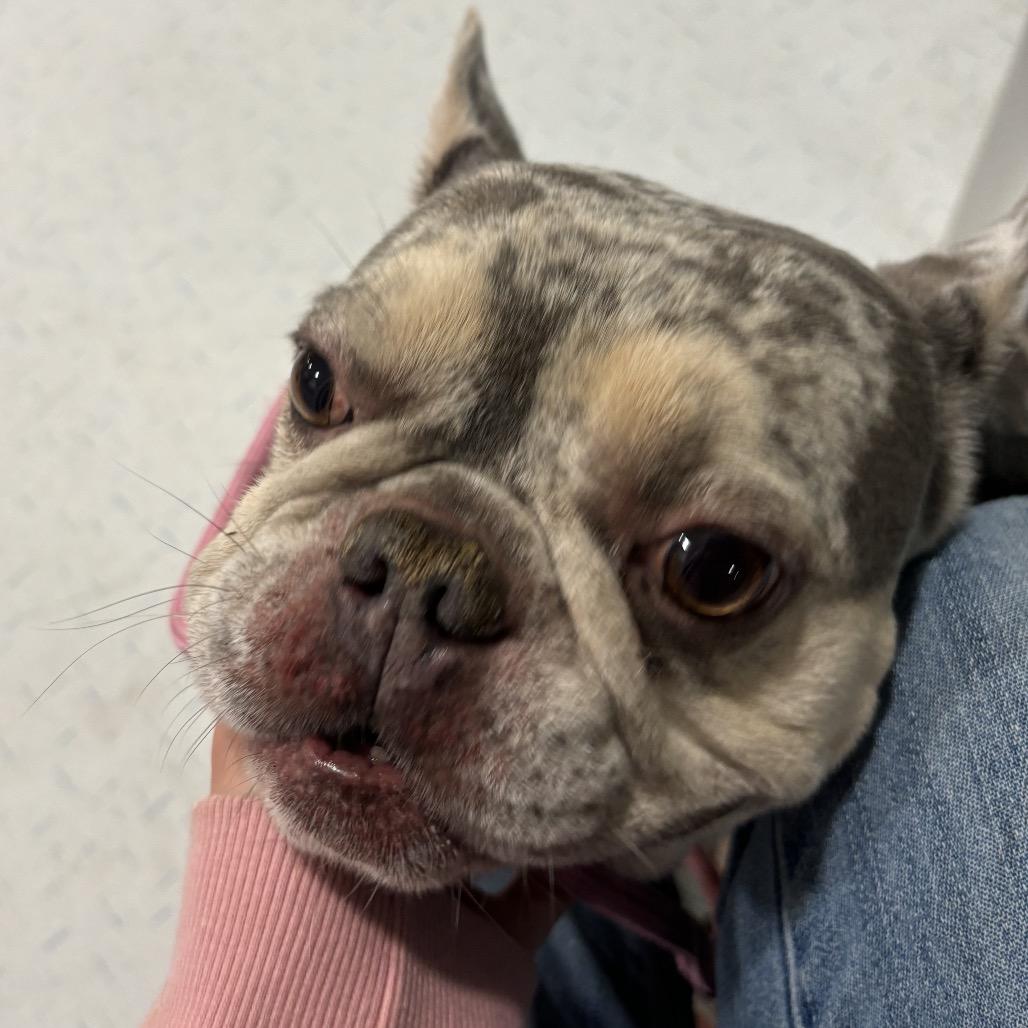 Mayweather thumbnail 2