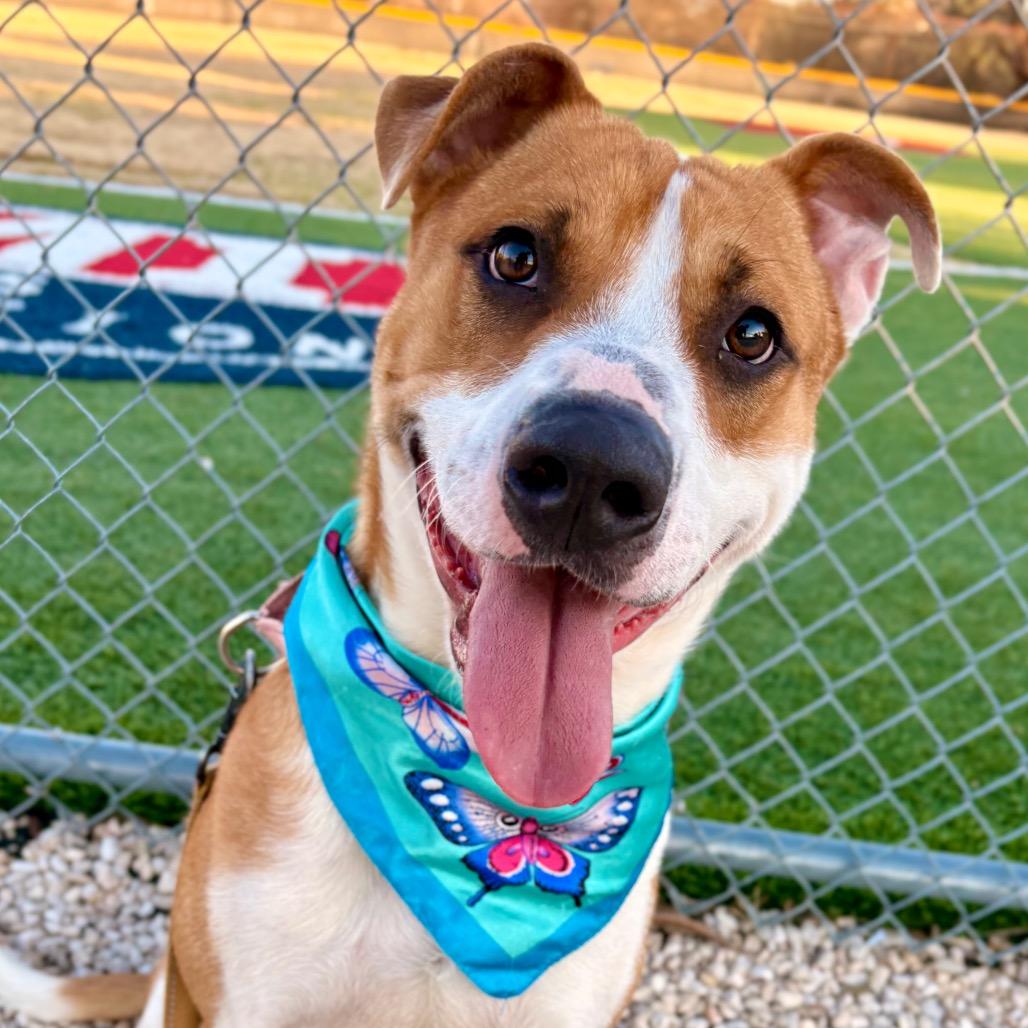 Jason — thumbnail 2