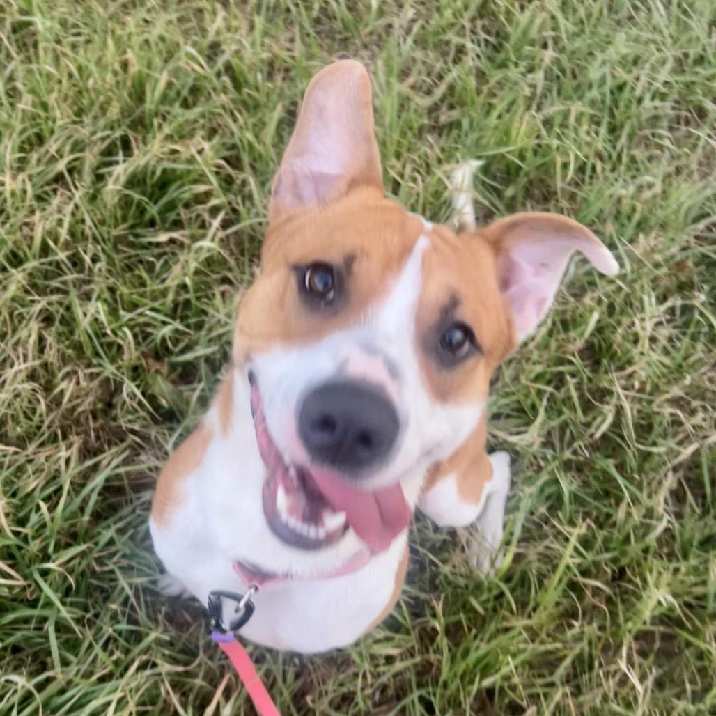 Jason — thumbnail 3