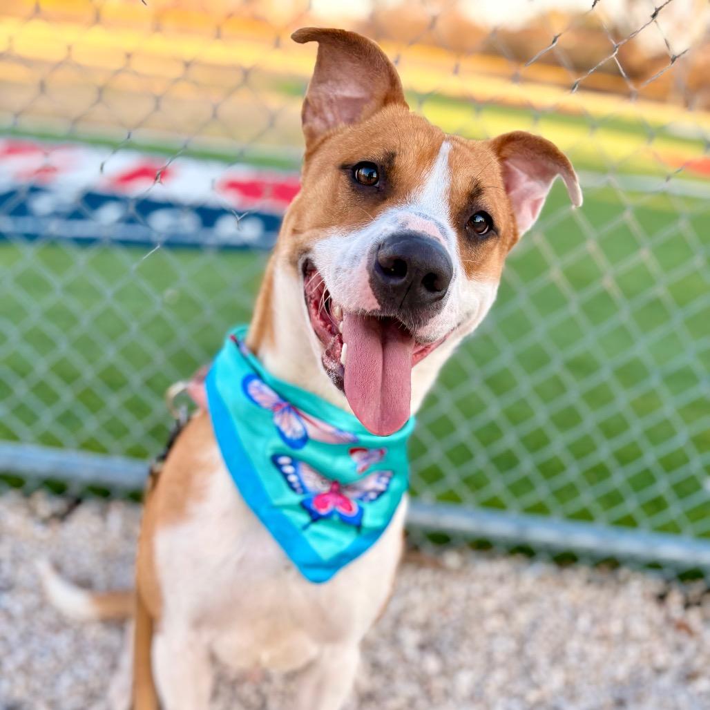 Jason — thumbnail 4