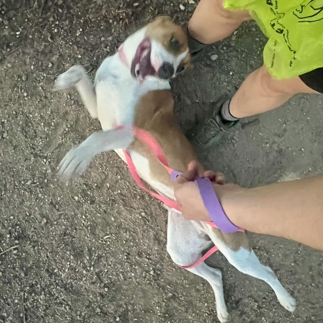 Jason — thumbnail 6