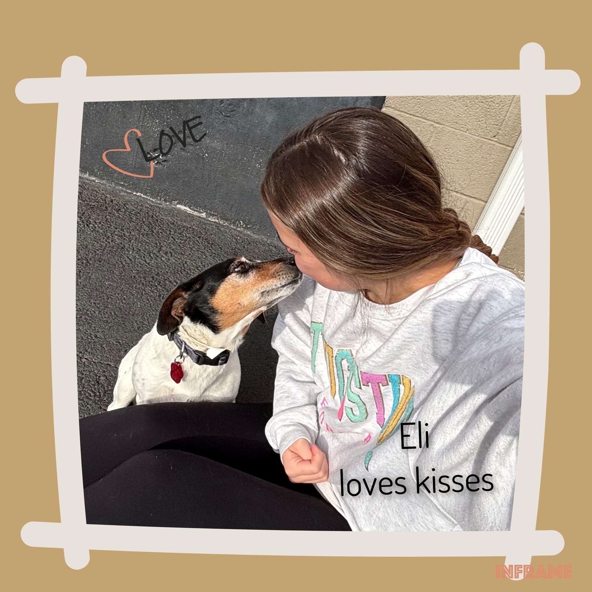 Enlarge Eli, a ADOPTABLE Jack Russell Terrier in Fredericksburg, VA image 4/6