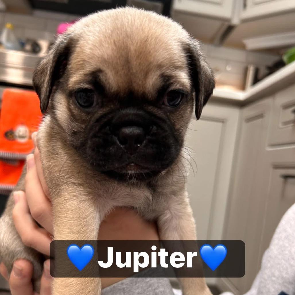 Jupiter photo