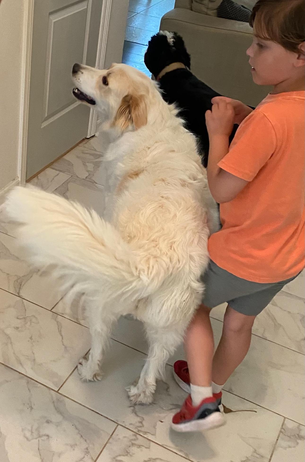 Birdie, a Adoptable mixed breed in Texarkana, TX image 3/5