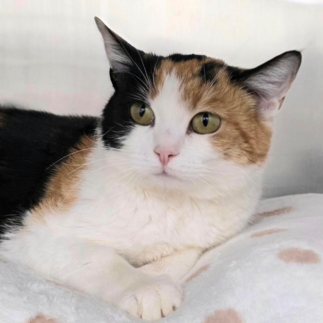 Osiris — thumbnail 2