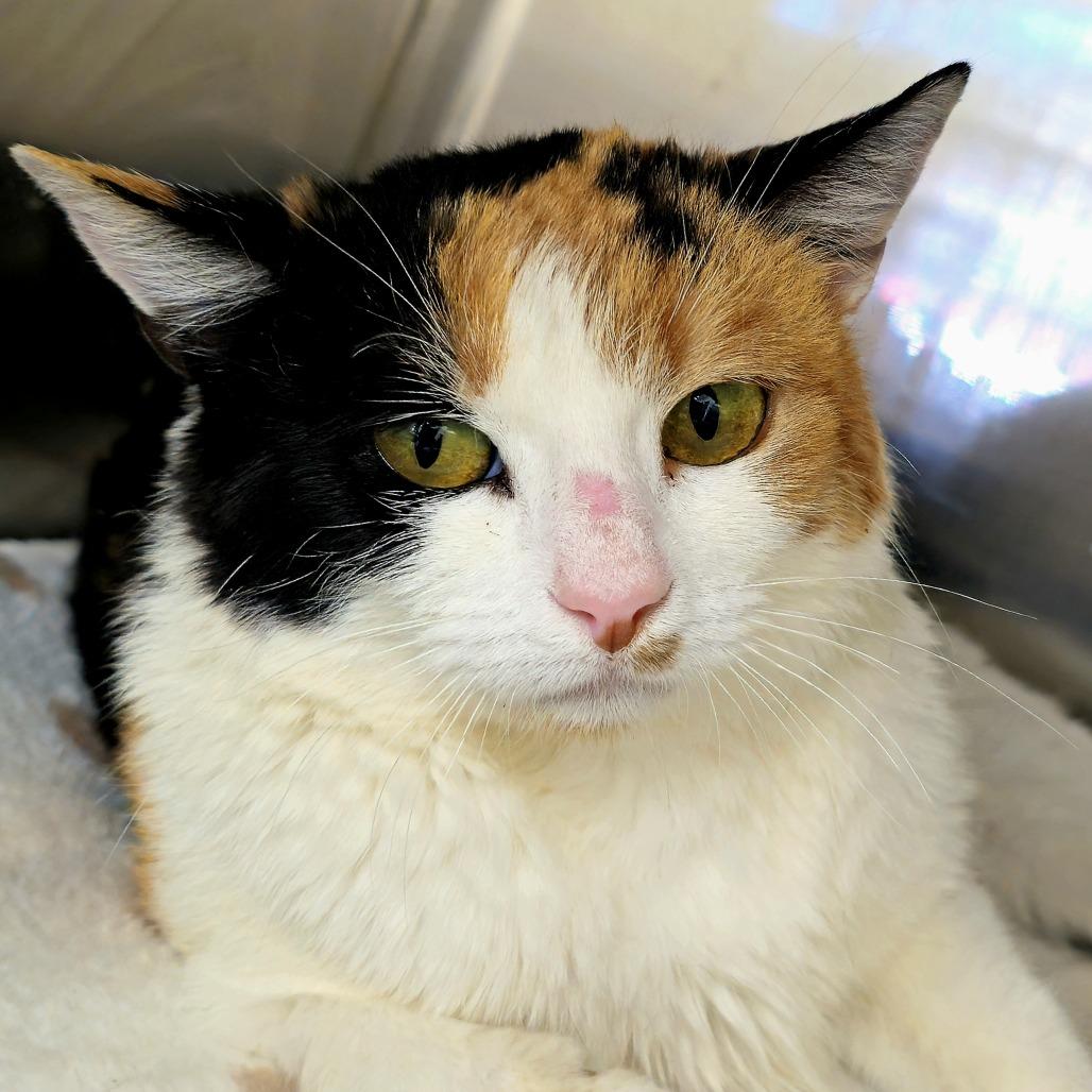 Osiris — thumbnail 3