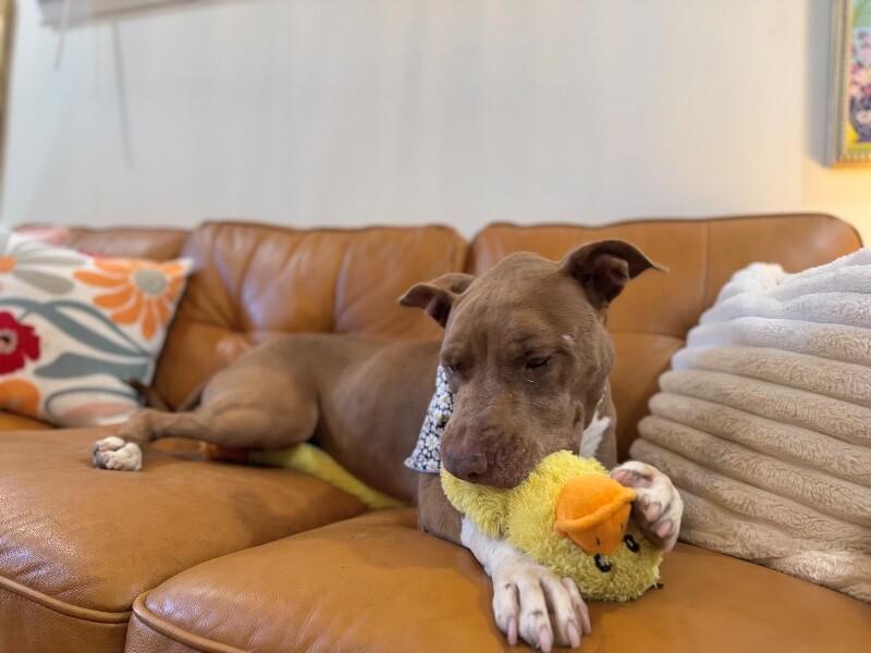 Beatrice Bestie Boo — thumbnail 3