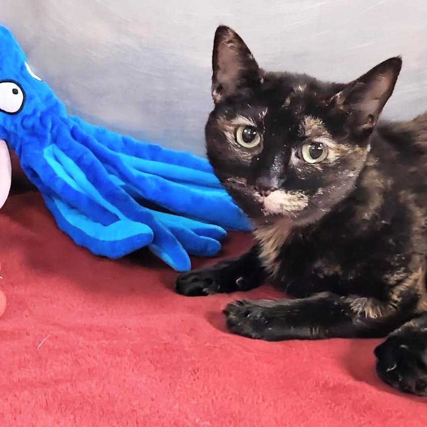 Tasia — thumbnail 2