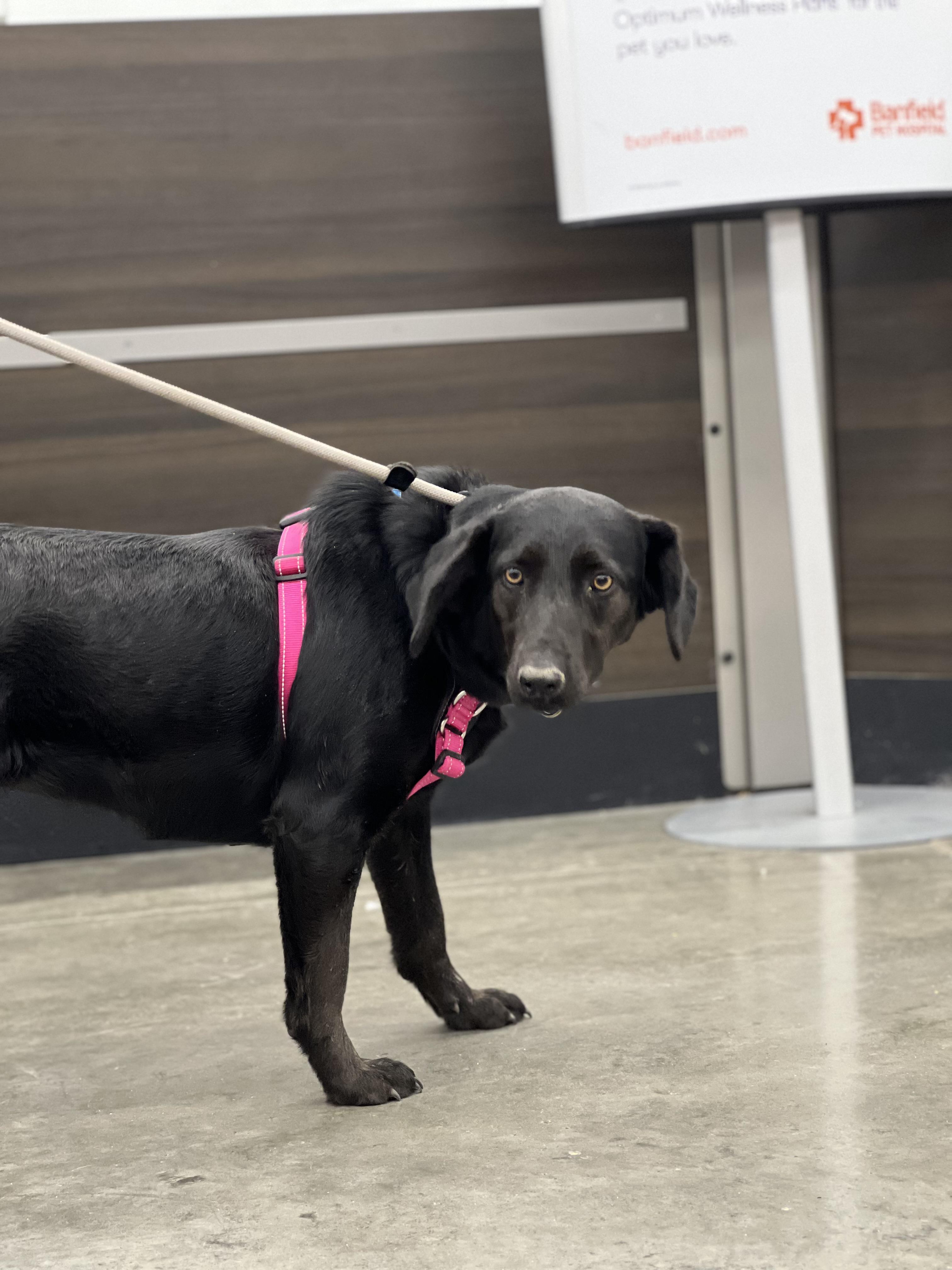 Sally — thumbnail 2