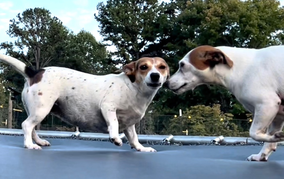 Sharon Weiss thumbnail 3