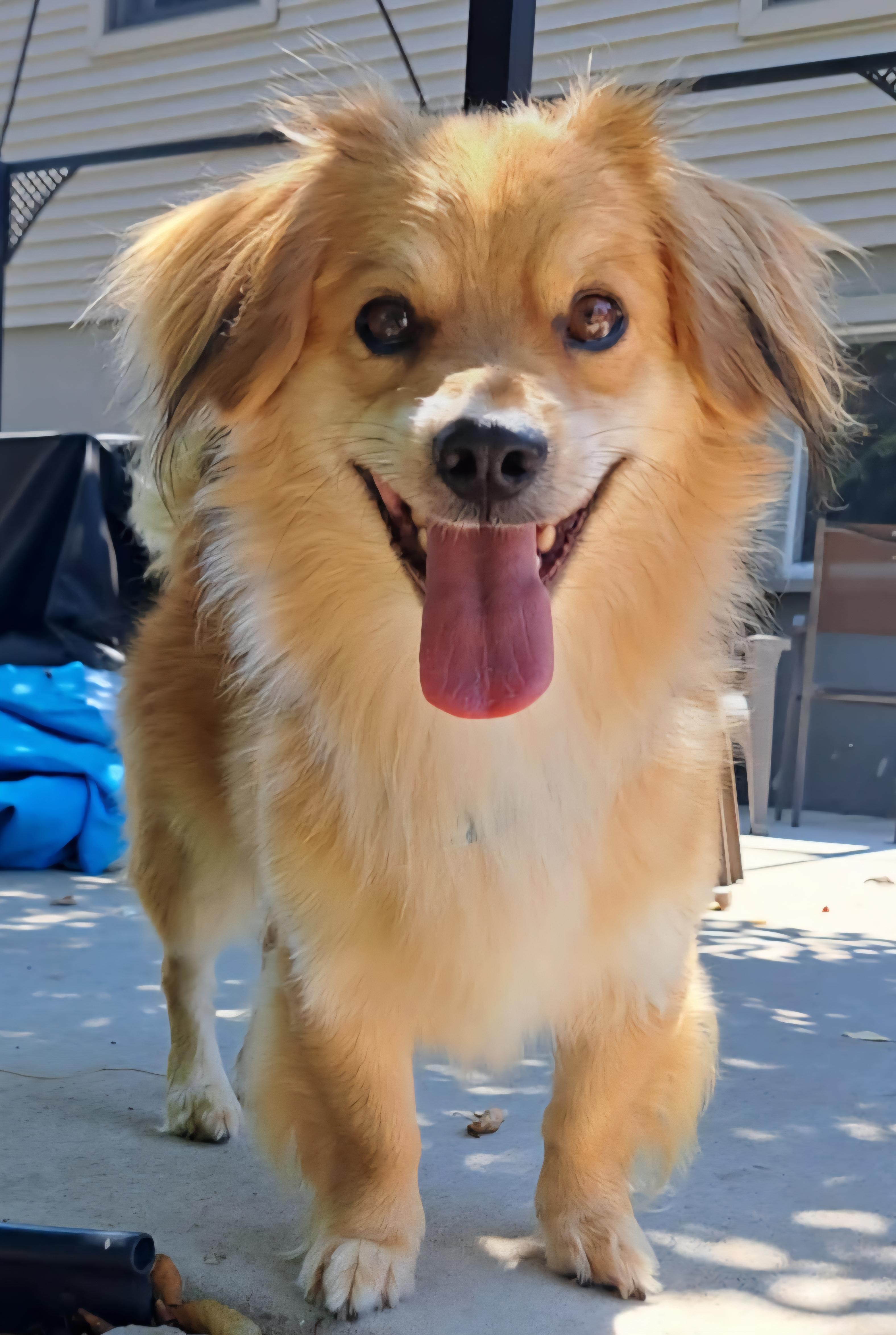 Luca