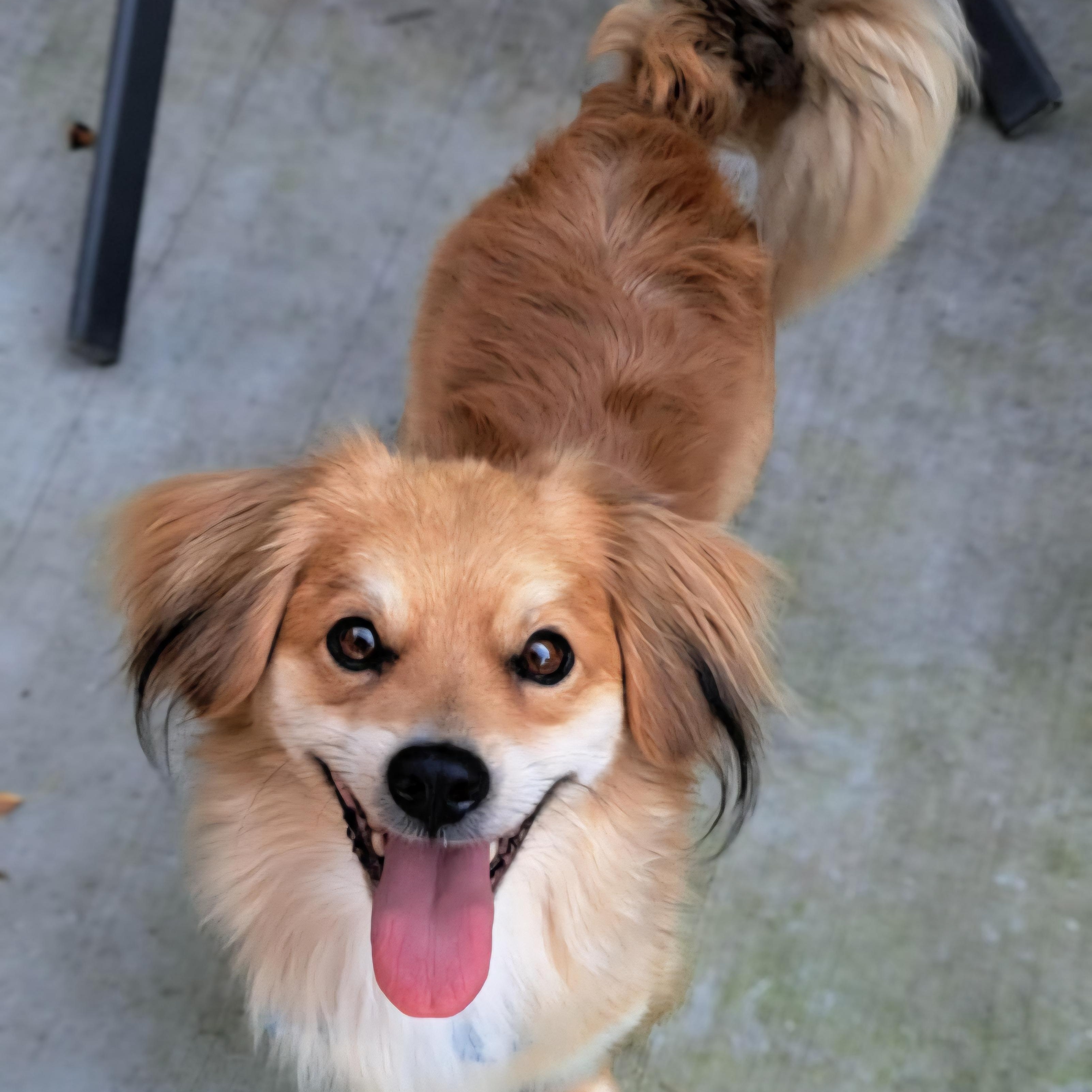 Luca