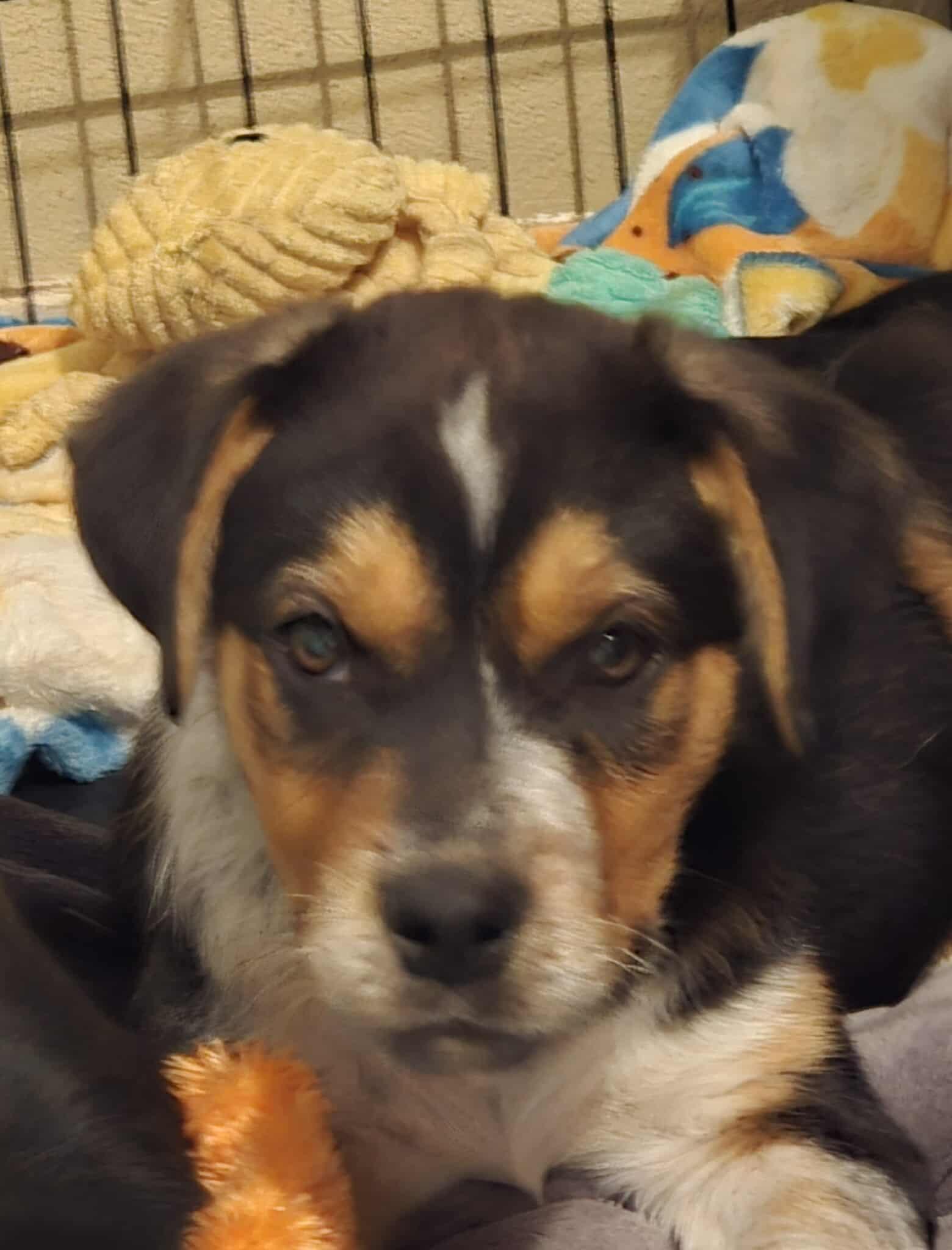 Maverick — thumbnail 4